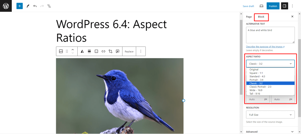 Aspect Ratios for Image Placeholders in WordPress 6.4