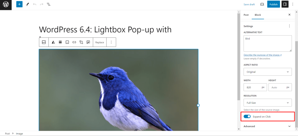 Lightbox Pop-up with Images in WordPress 6.4