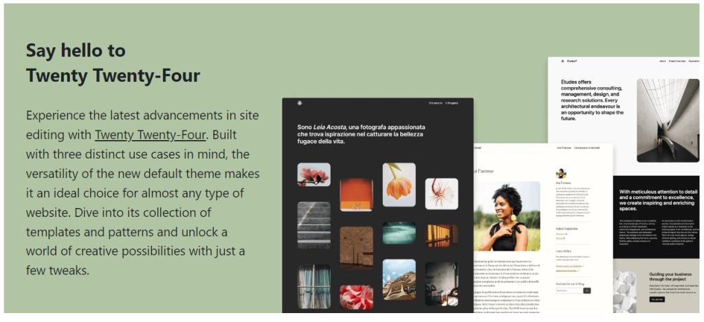 Twenty Twenty-Four Default Theme - WordPress 6.4